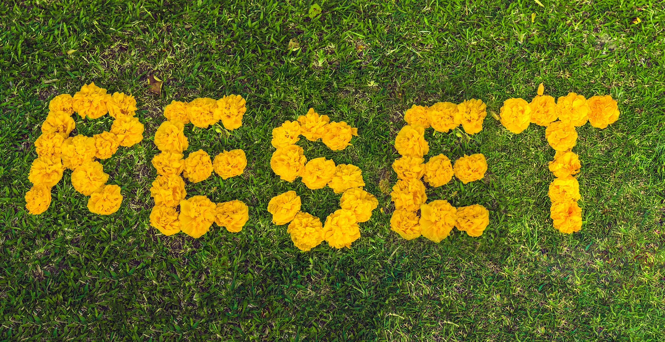 Wiosenny reset organizmu: 30-dniowy protokół regeneracji po zimie.